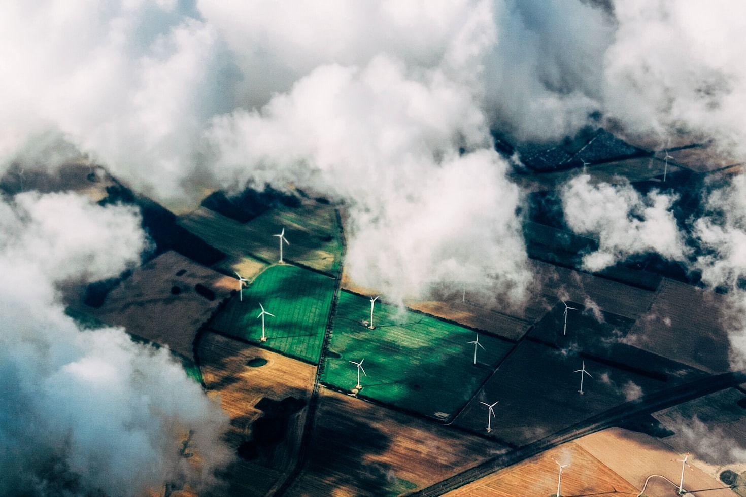 Histórias inspiradoras de sustentabilidade com EcoVale